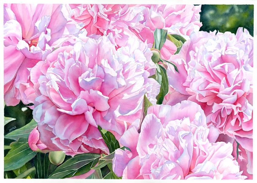 Read more about the article Peony Garden