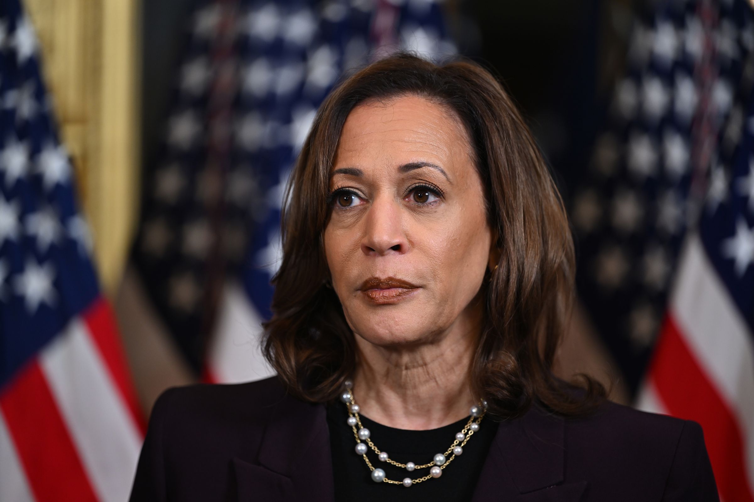 Read more about the article Kamala Harris Campaign Reacts to Elon Musk Sharing Fake Ad About VP – Newsweek